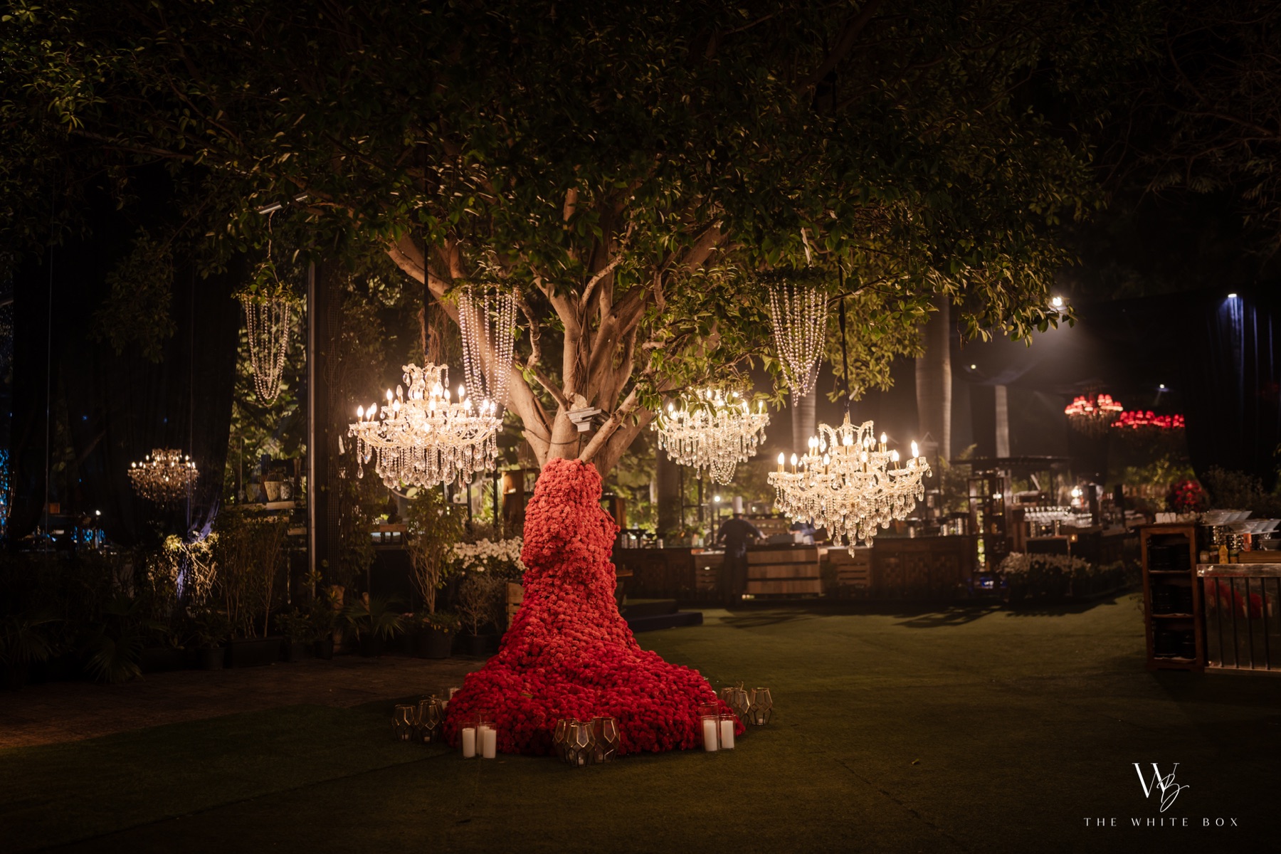 Chandeliers suspended from a tree at a Man With A Plan celebration